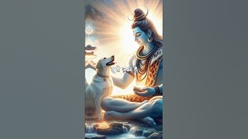 Mahadev status video 💞 bholenath status ❣️ shiv status video 💫 Mahakal #shorts