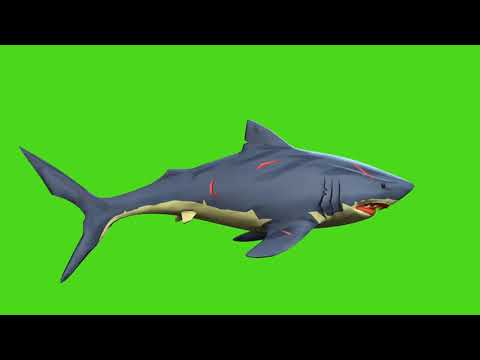 Green Screen Shark video effects | green screen shark swimming #2