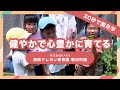 動画サムネイル