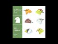 Fábio Caramuru - EcoMúsica aves