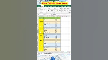 Lebih Cepat Merge Cell Pake Format Painter di Excel  #belajarexcel #tipsexcel