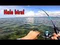 Light ep 8 hala bira nakadale ulit  shore casting philippines  saltwater fishing