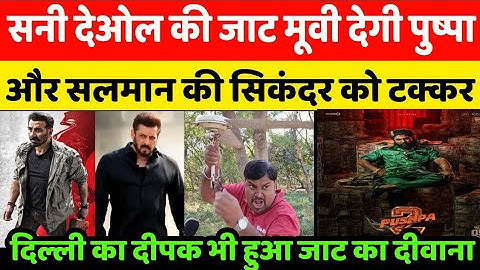 Sunny Deol की Jaat Movie देगी Pushpa और Salman Khan की Sikandar को टक्कर I Delhi Ka Deepak