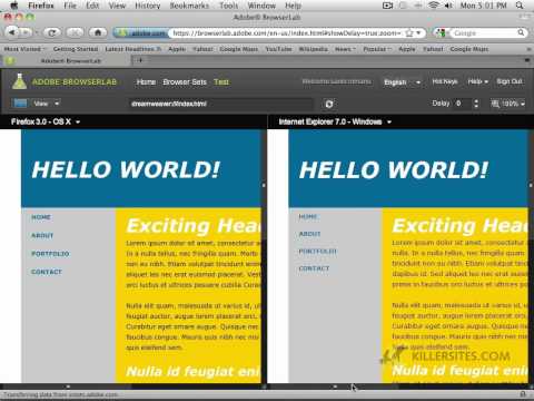 Dreamweaver CS5 - Adobe Browser Lab