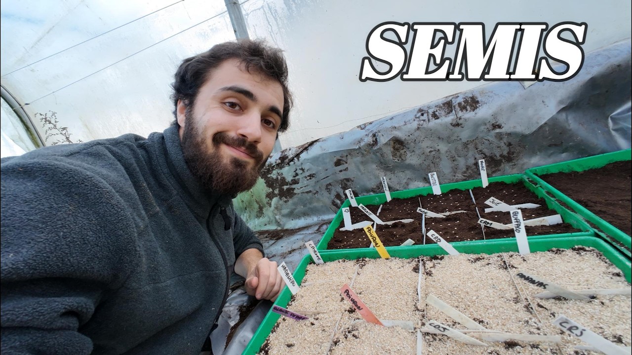 Premier SEMIS de TOMATES