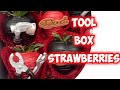 TOOL BOX STRAWBERRIES