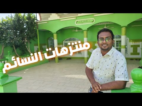 أفضل مكان للنزهة العائلية في سيئون و الصغار
