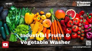 High Efficiency Fruit & Vegetable Washer | food Processing Equipment#FruitWasher#VegetableWasher