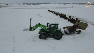 Feeding Cattle in Idaho in the Snow by Mike Less - Farmhand Mike 57,211 views 3 months ago 12 minutes, 10 seconds