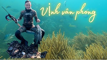 Bí Quyết Lặn Ốc Bàn Tay Dễ Dàng | Nguyễn Văn Nhịn #nguyenvannhin #tomhum #fishing