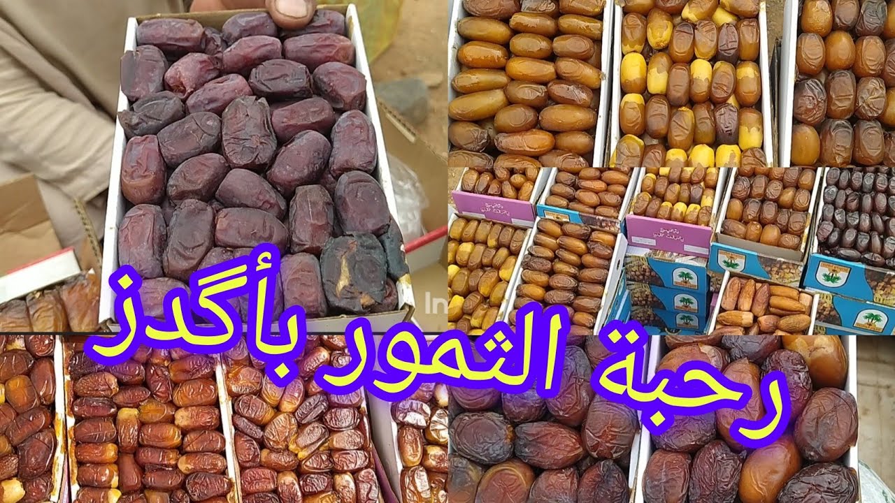 السوق الأسبوعي لثمور بأگدز زاگورة بيع جميع انواع التمور الهاتف 0724525346