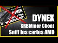 Dynex  srbminer  amd  le dev a trich  test de la radeon instinct mi50  16 go hbm2