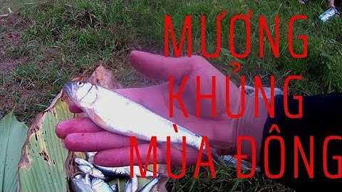 Câu cá mương mùa đông vào một ngày trời nắng đẹp. Người hà giang 23