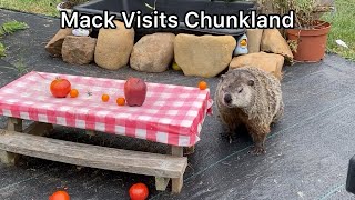 Mack Visits Chunkland