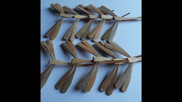 Bộ 10 con Chuồn chuồn tre mộc xấu 12cm Chuồn tre xinh shop