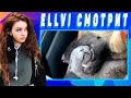 ELLVI смотрит UNUSUAL MEMES COMPILATION V80 || Элви