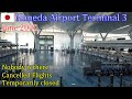 Haneda Airport Terminal 3 羽田空港 T3 | Tokyo, Japan JUN 2020