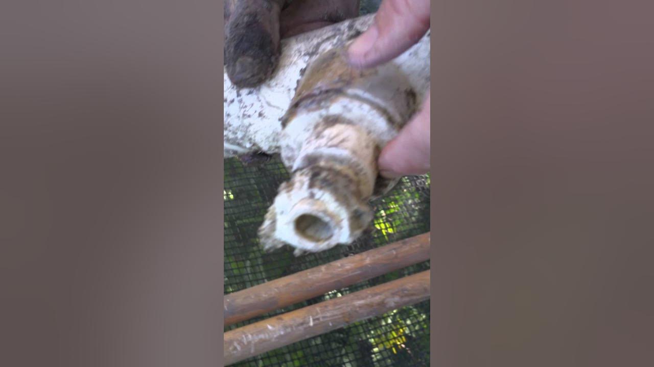 Pool pipe leak repair YouTube