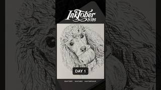 Inktober 2026 | Day 1 — Apple 🍎🐩 #inktober #inktober2026 #pendrawing