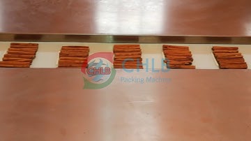 [CHLB machine] CB-450XWS smart servo cinnamon flow packing machine