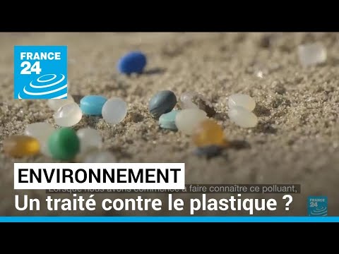 Vidéo: Pourquoi le plastique est-il nocif pour l'environnement ?