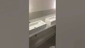 Две раковины