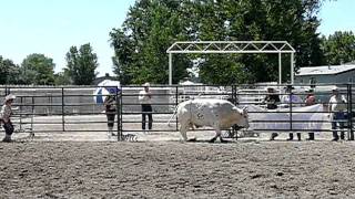 Ontario Wsbba 2010 Bootlegger