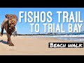 Fishos trail to Trial Bay Beach Walks at South West Rocks NSW