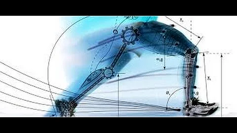 The Formal Gait Analysis  www.ezcontinuingeducation.org  Perry J. Carpenter DC QME