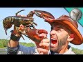 PINCHED by a LOBSTER!