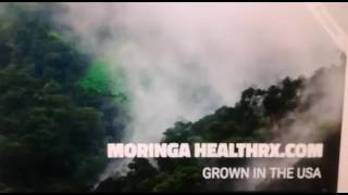 Moringa Healthrx Super Food