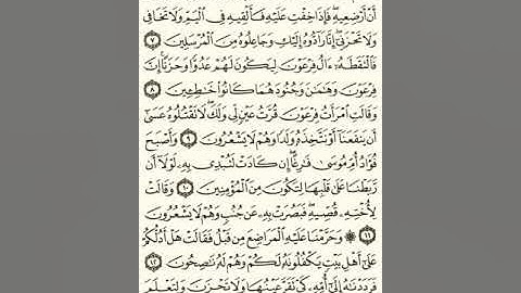 ماهر المعيقلي سورة القصص مكتوبة صفحة 385 نصفها و صفحة 386 مصحف المدينة المنورة جودة عالية