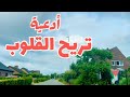 أدعية تريح القلب على طريق بلجيكي ساحر هدوء وسكينة في مناظر طبيعية خلابة تأملات الطريق
