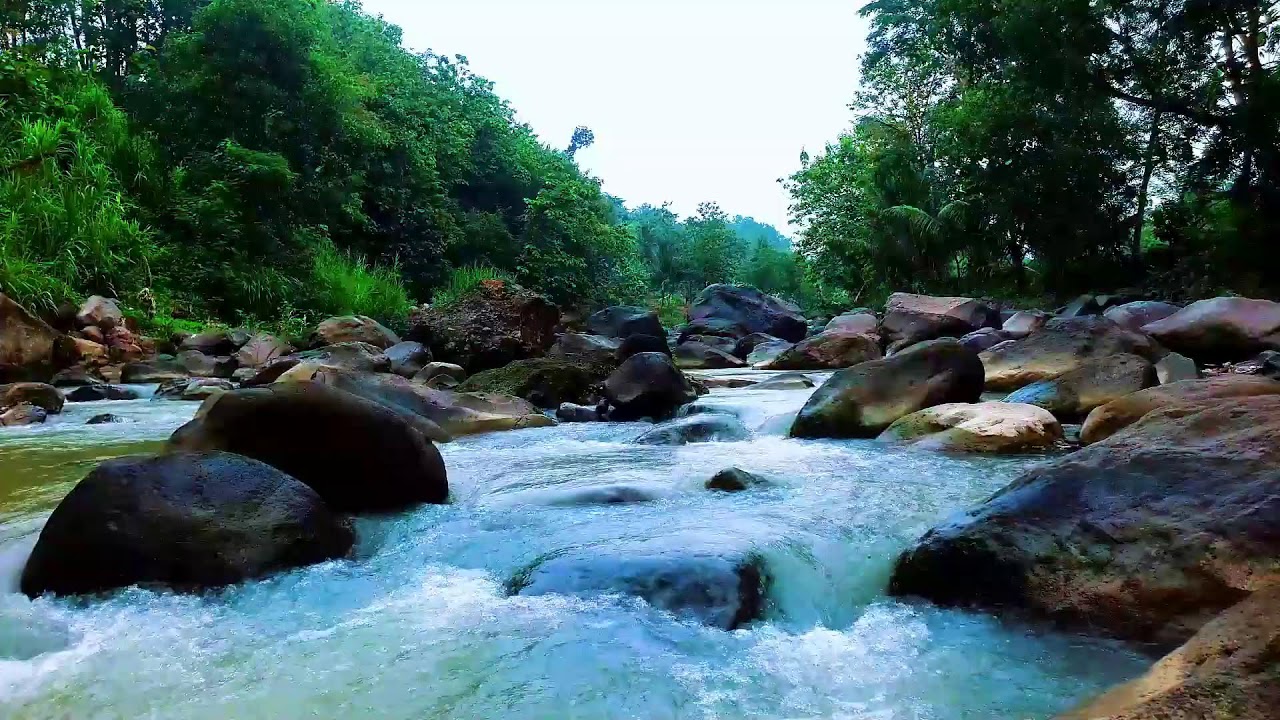 Deep Sleep River Sounds Flowing Gently Past Soft Sand and Rounded Stones