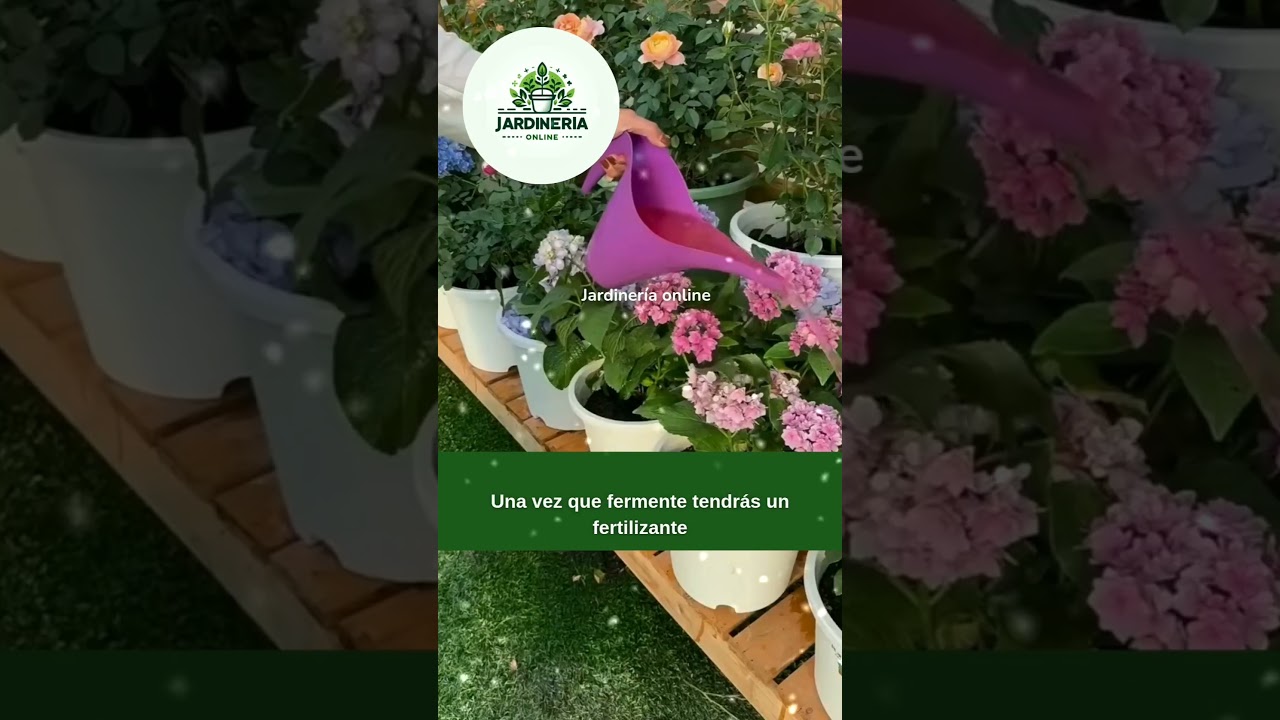 fertilizante orgánico 