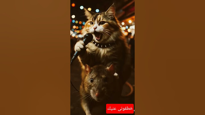 خطفوني - عمرو دياب | Khatfouni  | Amr Diab
