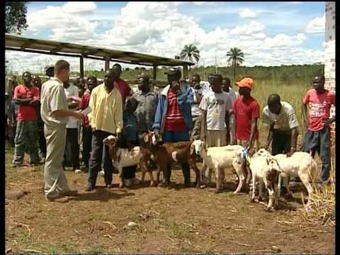 Video: Kríza A Veľké Príležitosti Od Afrických Pieskov Po Alpské Snehy