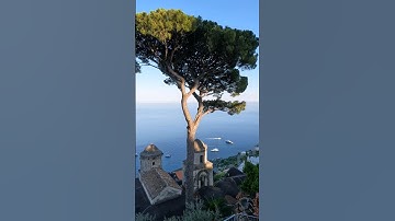 🌳Villa Rufolo Serenity: Ravello’s Birdsong & Ocean Views #shorts #ravello #amaficoast