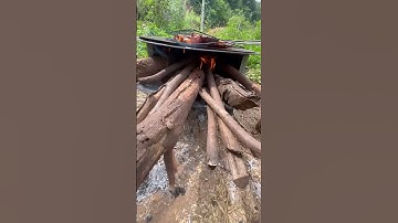 Nướng cá kiểu lạ lạ hêhheh #memes #haihuoc #vuinhon #funny