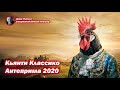 Кьянти Классико - Антеприма 2020