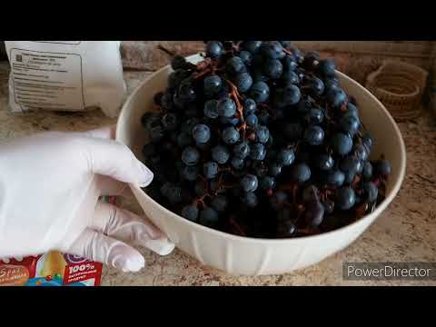 Video: Kishmish Grape Jam Para Sa Taglamig: Sunud-sunod Na Mga Recipe Na May Mga Larawan Para Sa Madaling Paghahanda