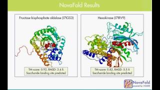 DNASTAR - Using NovaFold for Protein Structure Prediction Webinar