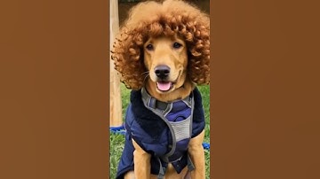 pix verse ai#pixverse #ai ##shorts #viralahorts