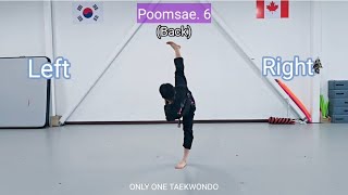 Poomsae.6 (Back) for the Purple belt.