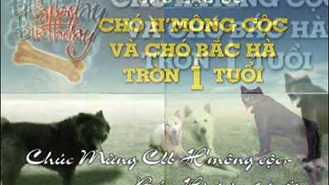 Tứ đại quốc khuyển http://sunday.b1u.org ✔️