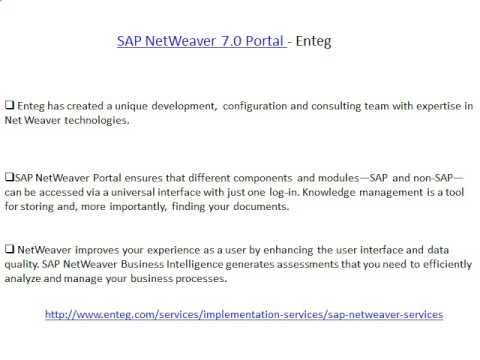 SAP NetWeaver 7.0 Portal - Enteg