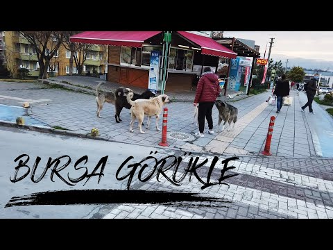 Bursa Görükle | Görükle Bursa'yı Geziyoruz