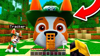 ENCONTRÉ LA CASA DE TRACKER PAW PATROL EN MINECRAFT 😱 by Massi 105,252 views 2 weeks ago 13 minutes, 46 seconds