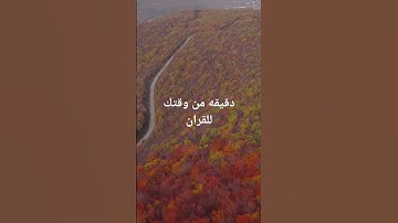 #quran #القرآن_الكريم #فلسطين احفظ ايه فى دقيقه تجد نفسك حفظت القرآن الكريم دون أن تدرى