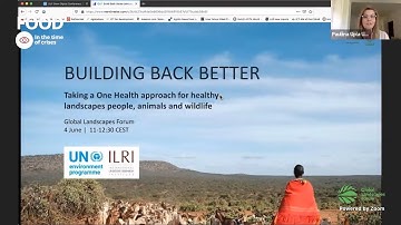 How a One Health approach can prevent and mitigate future pandemics